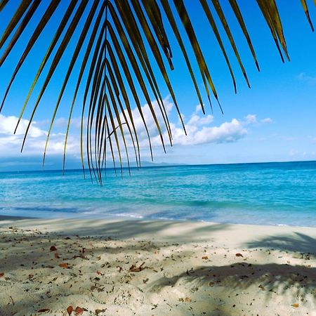 Kaz A Klemence Gite Creole Avec Piscine Et Table Dhotes A Anse Bertrand Exteriör bild