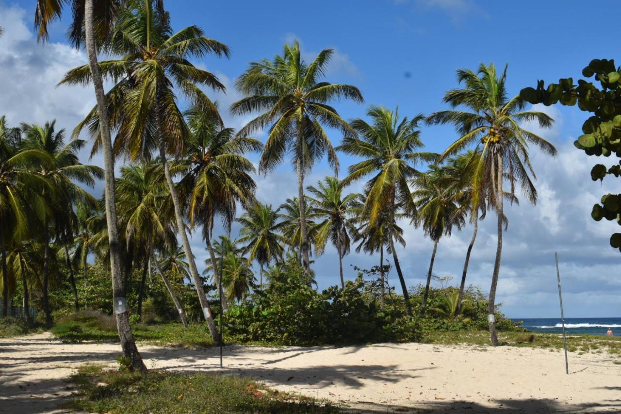 Kaz A Klemence Gite Creole Avec Piscine Et Table Dhotes A Anse Bertrand Exteriör bild