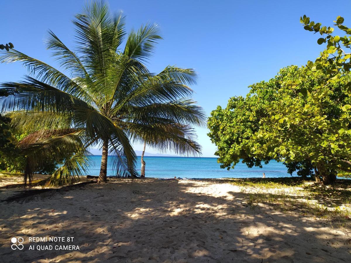Kaz A Klemence Gite Creole Avec Piscine Et Table Dhotes A Anse Bertrand Exteriör bild