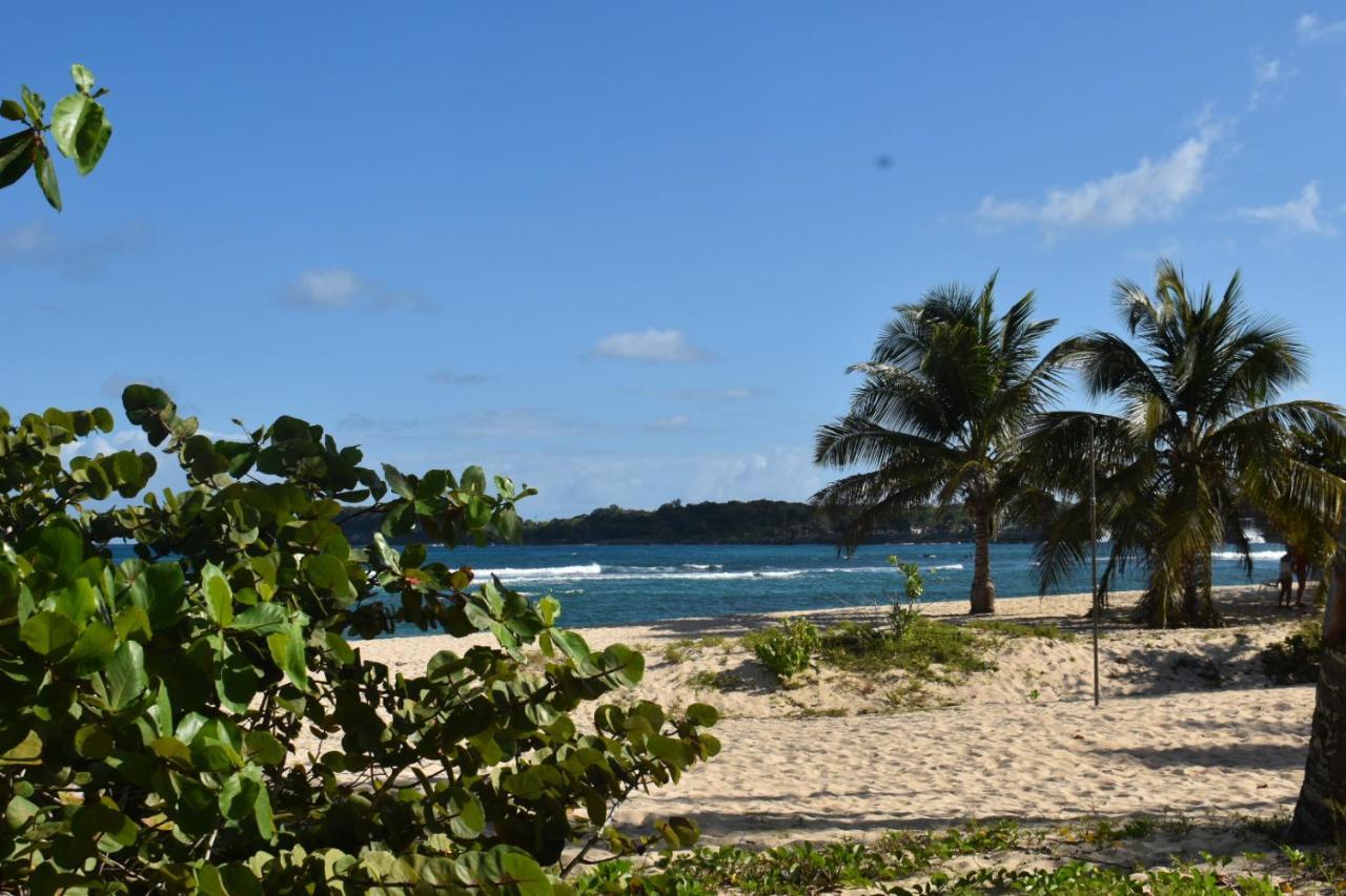 Kaz A Klemence Gite Creole Avec Piscine Et Table Dhotes A Anse Bertrand Exteriör bild