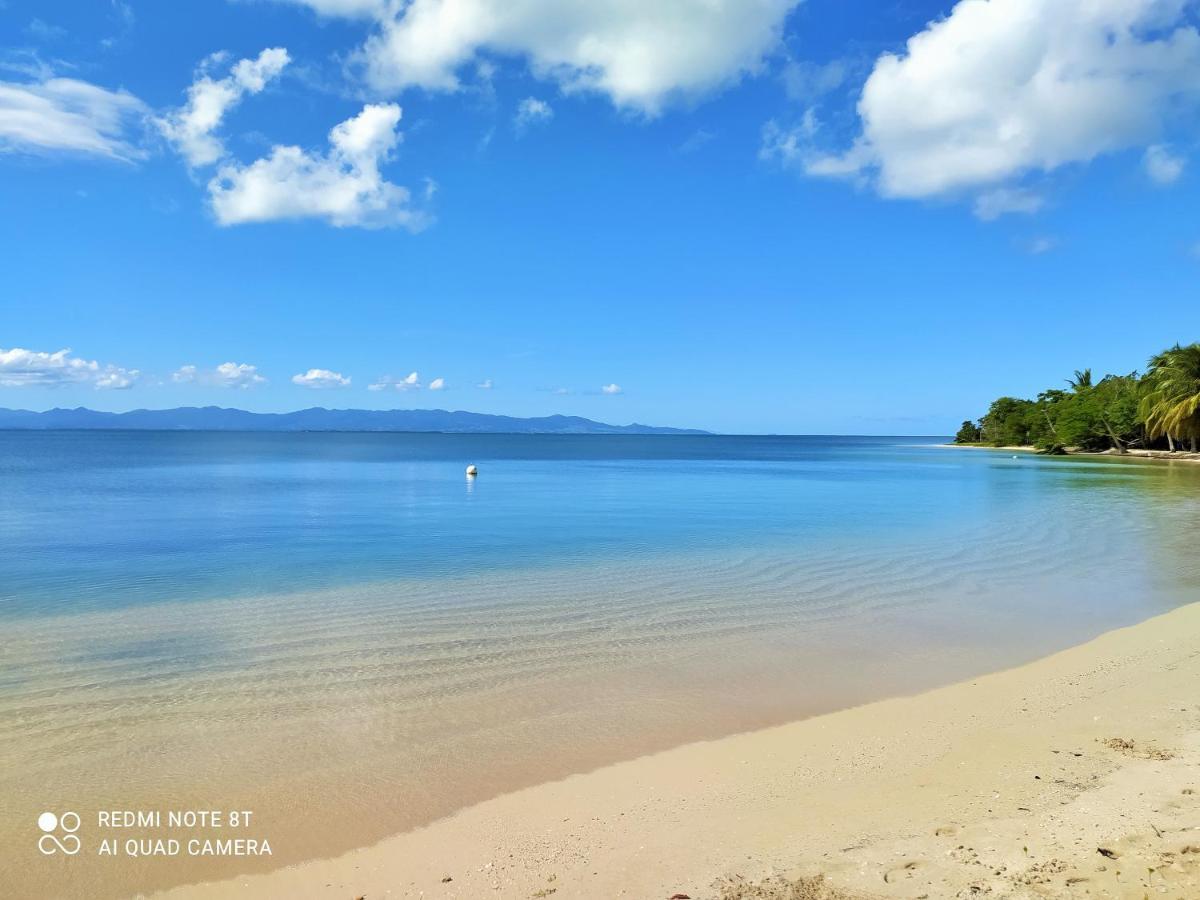 Kaz A Klemence Gite Creole Avec Piscine Et Table Dhotes A Anse Bertrand Exteriör bild