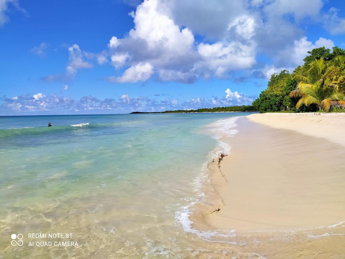 Kaz A Klemence Gite Creole Avec Piscine Et Table Dhotes A Anse Bertrand Exteriör bild