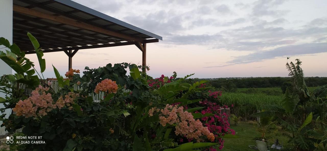 Kaz A Klemence Gite Creole Avec Piscine Et Table Dhotes A Anse Bertrand Exteriör bild