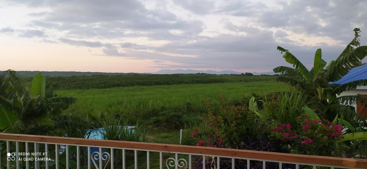 Kaz A Klemence Gite Creole Avec Piscine Et Table Dhotes A Anse Bertrand Exteriör bild