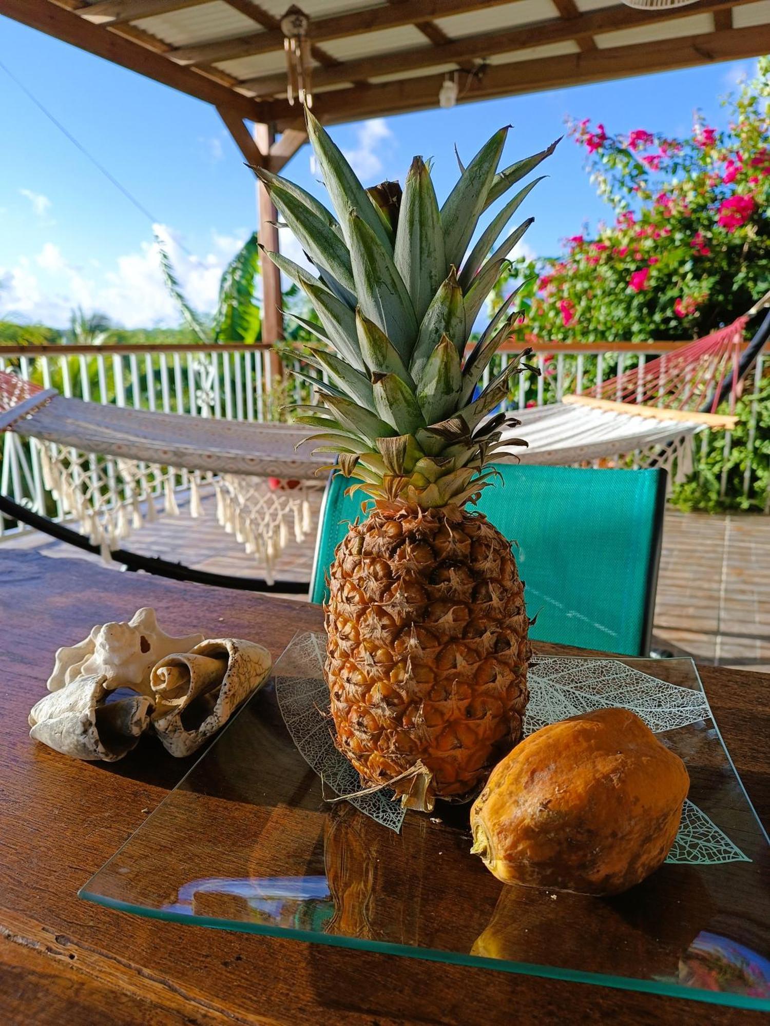 Kaz A Klemence Gite Creole Avec Piscine Et Table Dhotes A Anse Bertrand Exteriör bild