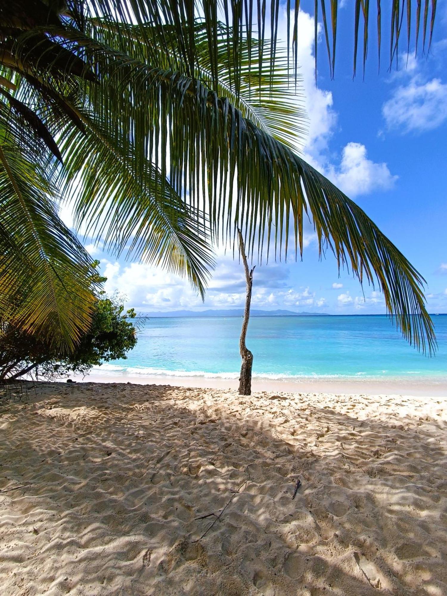 Kaz A Klemence Gite Creole Avec Piscine Et Table Dhotes A Anse Bertrand Exteriör bild