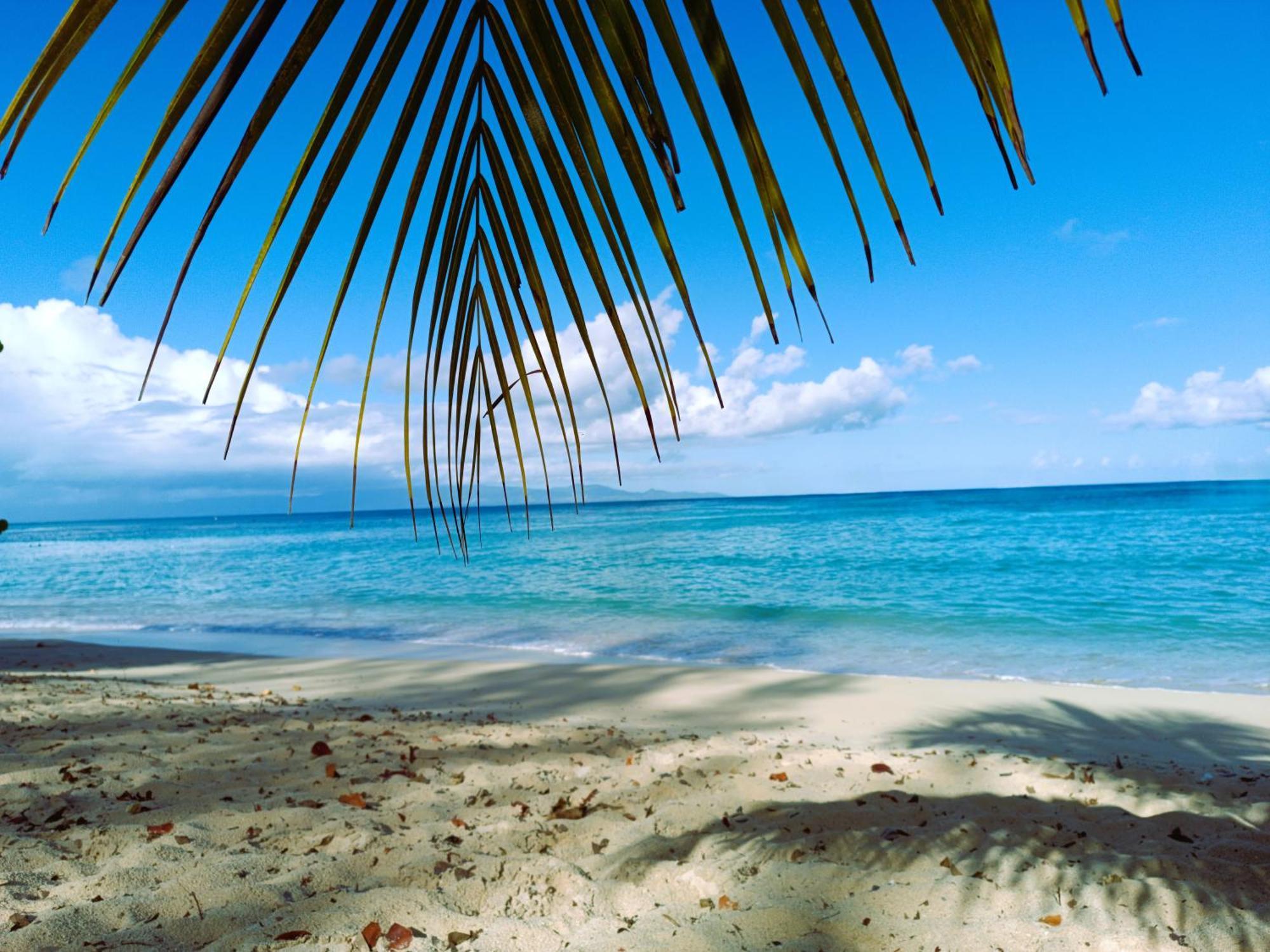 Kaz A Klemence Gite Creole Avec Piscine Et Table Dhotes A Anse Bertrand Exteriör bild