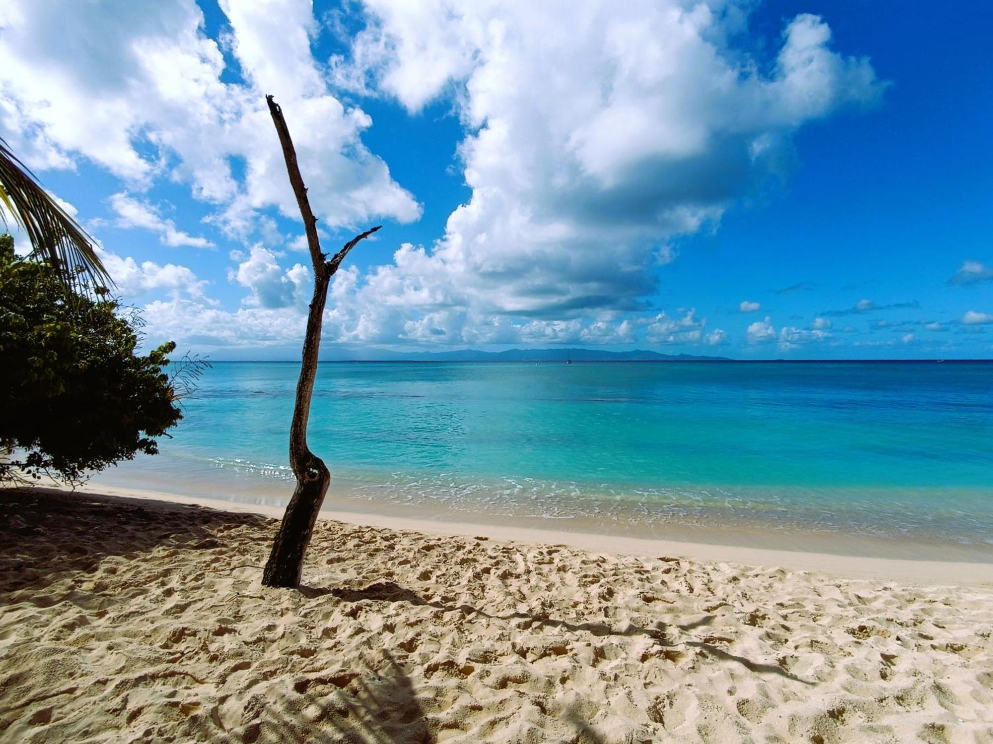 Kaz A Klemence Gite Creole Avec Piscine Et Table Dhotes A Anse Bertrand Exteriör bild